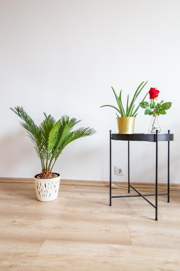 Best Rated Central Apartment Vienna - Ac, Wifi, 24H7Days Self Check-In, Board Games, Netflix المظهر الخارجي الصورة